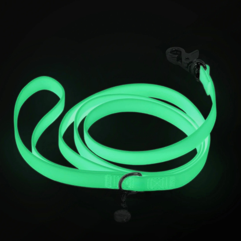 Laisse Cloud phosphorescente