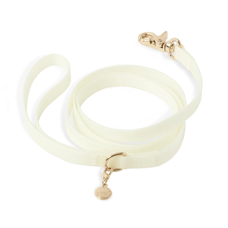 Laisse Cloud phosphorescente